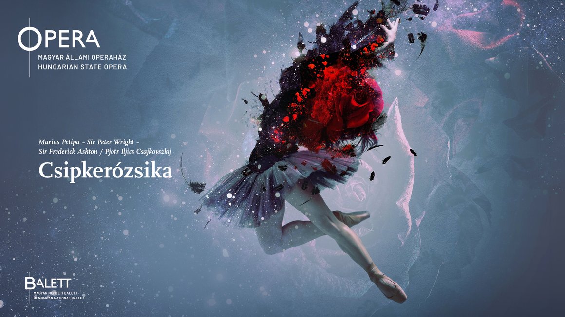 Csipkerozsika_videovago_1920x1080